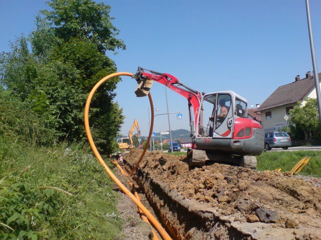 Große Darstellung des Bildes