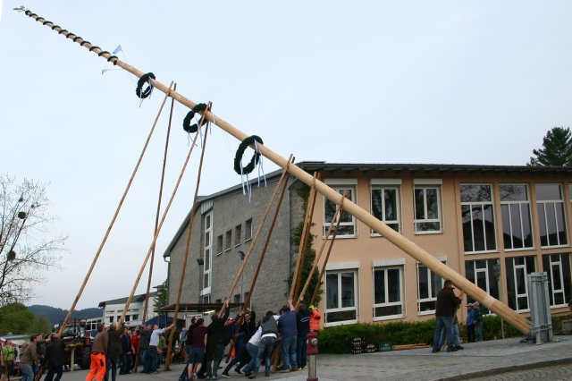 Maibaumaufstellen 2015