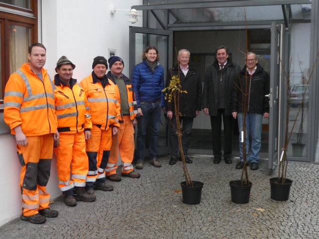 Große Darstellung des Bildes