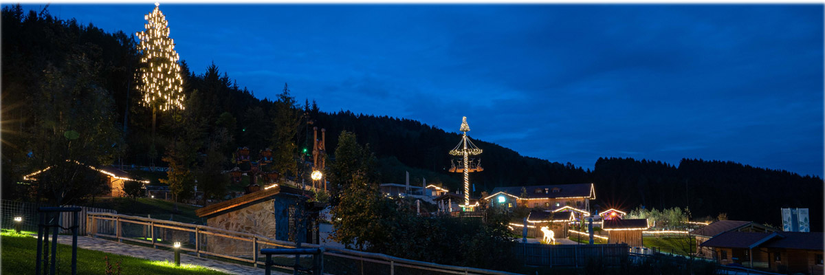 Edelwies Winter Nacht 2