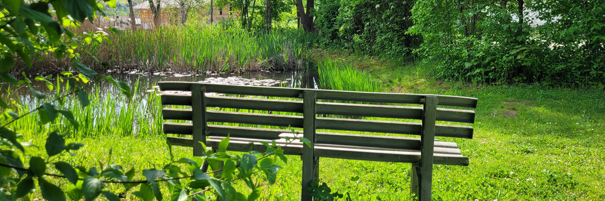 Teich m. Bank Windberg 2022