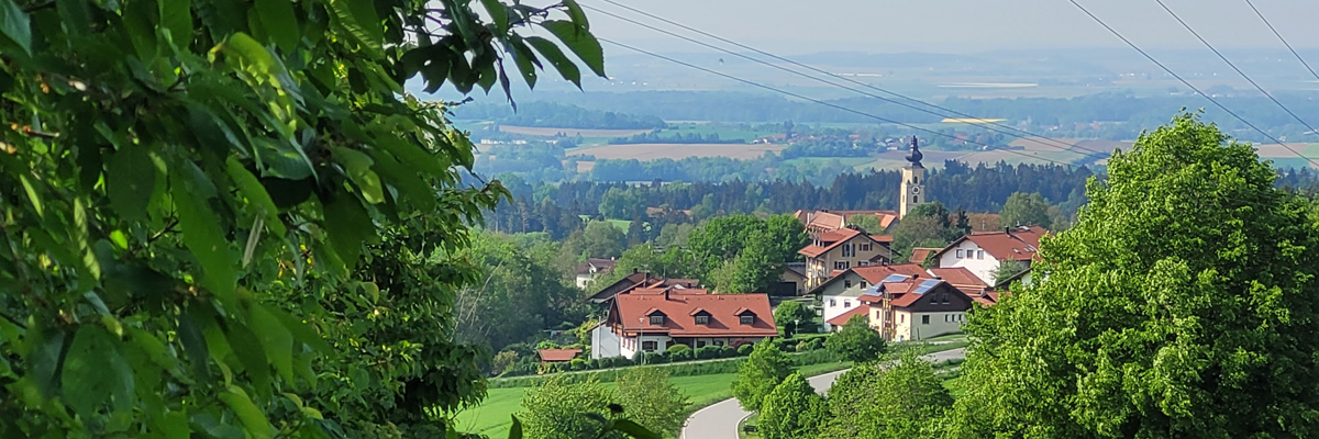 Starzenberg Richtung Windberg 2022