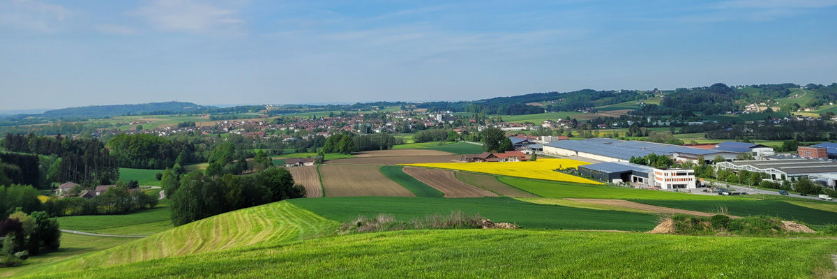Starzenberg/ Hunderdorf 1/2022
