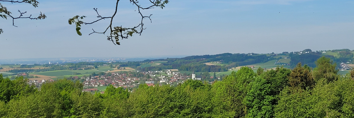 Starzenberg/Hunderdorf 3/2022